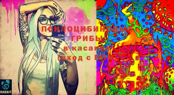 круглые Алексеевка
