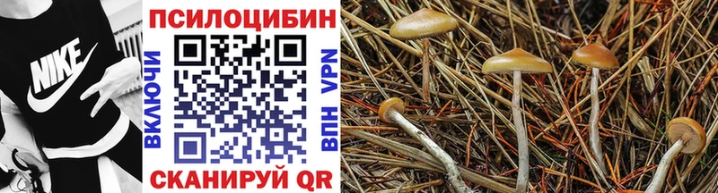 Псилоцибиновые грибы GOLDEN TEACHER  blacksprut вход  Поронайск 